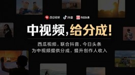 中视频计划一个适合所有人的玩法