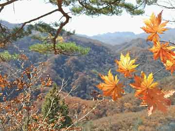 详细阅读:"爱"与“AI” 宗教与神明(一)大脑中的爱 "爱"与“AI” 宗教与神明(一)大脑中的爱