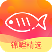 锦鲤精选LOGO