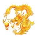 神龙赚挂机赚钱LOGO
