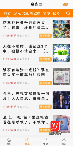 金雀网应用截图