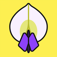 紫藤网LOGO