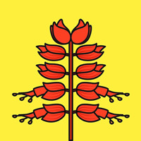 炮竹红LOGO