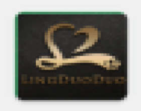 领多多LOGO